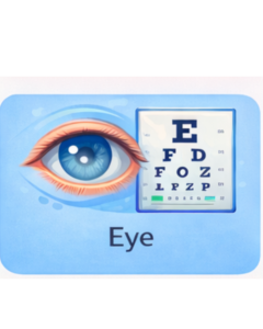 Eye