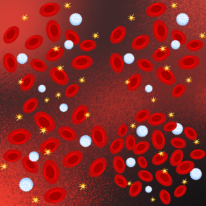 Hematopoietic and Lymphoid Systems
